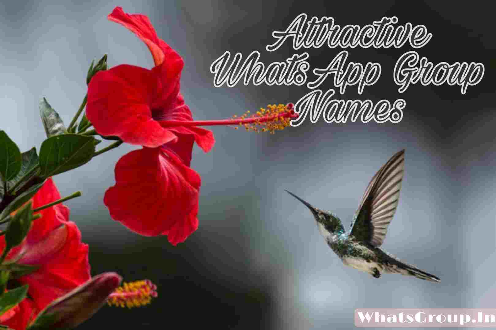 Attractive WhatsApp Group Names